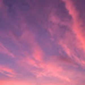 Meet your Posher, Kayden